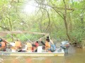 Tn PPTC 307